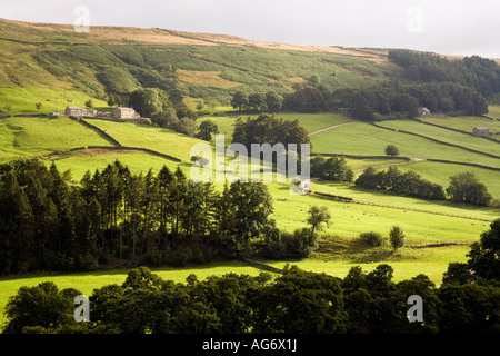 UK Yorkshire Nidderdale Oberwelle von Sonnenlicht fällt auf vereinzelte Bauernhäuser unter Brown Ridge Stockfoto