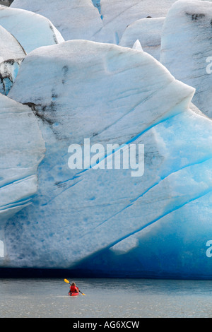 Kakaking vor Mendenhall-Gletscher in Alaska Mendenhall Lake Juneau Stockfoto