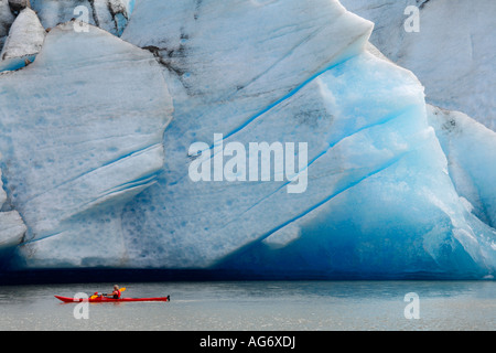 Kakaking vor Mendenhall-Gletscher in Alaska Mendenhall Lake Juneau Stockfoto