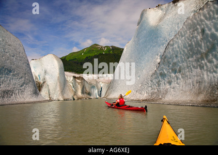 Kakaking vor Mendenhall-Gletscher in Alaska Mendenhall Lake Juneau Stockfoto