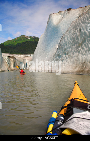 Kakaking vor Mendenhall-Gletscher in Alaska Mendenhall Lake Juneau Stockfoto