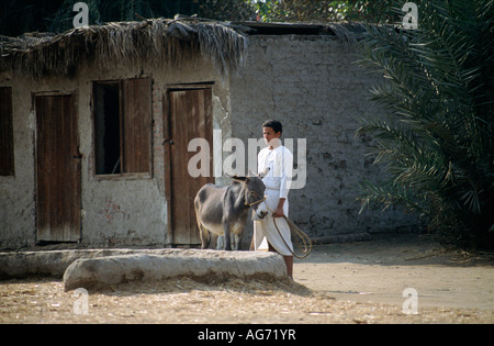 Pharaonic Village. Kulturzentrum. Mann mit Esel im Kabelbaum. Außen Haus. Stockfoto