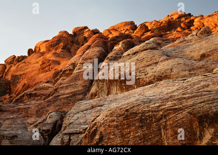 Die Calico Hills im Red Rock Canyon Las Vegas Nevada Stockfoto