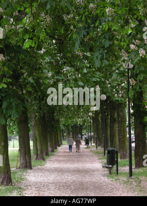 Strandvägen Avenue in Stockholm, Schweden. Stockfoto