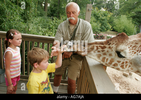 Birmingham Alabama Zoo, zoologischer Park, Giraffen Fütterung, Kind, Kinder, Trainer, Besucher reisen Reise Tourismus Wahrzeichen Kultur Stockfoto