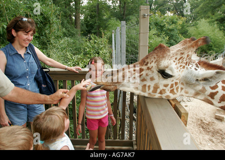 Birmingham Alabama Zoo, zoologischer Park, Giraffen füttern, Kinder Kind, Kinder, Junge Mädchen Schwester Bruder Mutter Familie, Trainer Naturforscher, Besucher besuchen Stockfoto