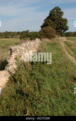 Flint Wand, Teil der Venta Icenorum Roman Stadt außerhalb Norwich, Norfolk Stockfoto