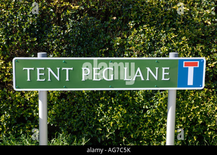Melden Sie für ungewöhnliche Straßennamen "Zelthering Lane" Stockfoto