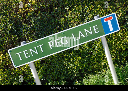 Zeichen für ungewöhnliche Straßennamen "Zelthering Lane", aufgenommen in einem Winkel Stockfoto