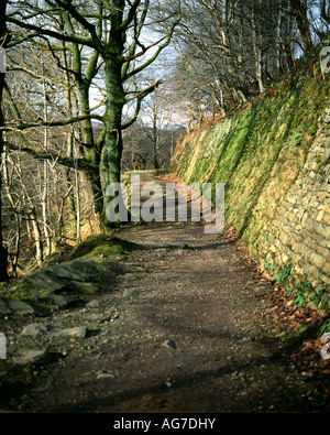 Taff Trail, Quakers Yard in der Nähe von Merthyr Tydfil, South Wales Valleys. Stockfoto