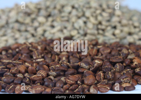 Äthiopien Yirgacheffe Kaffeebohnen geröstet Coffea arabica Stockfoto