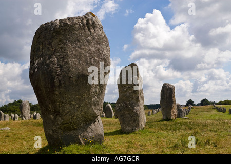 Stehender Stein Alignements (die Alignements de Kermario), Carnac, Morbihan, Bretagne, Frankreich Stockfoto