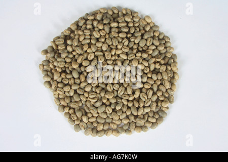 Indien Pearl Mountain roh Coffea Arabica Kaffeebohnen Stockfoto