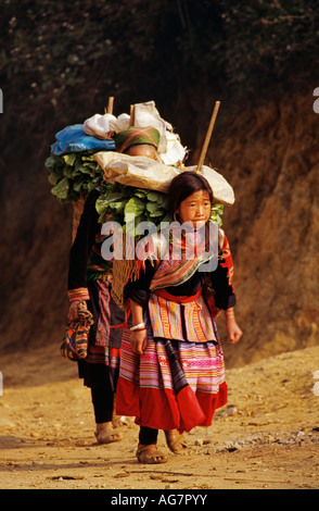 Vietnam kann Cau Menschen der Flower Hmong Hill Tribe Stockfoto