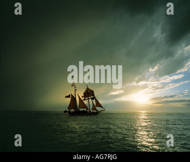 Großsegler, Norfolk, Virginia Stockfoto