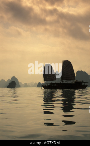 Vietnam Ha Long Bay Landschaft von Kalkstein-Formationen von mehr als 3000 Inseln. Müll im Meer Stockfoto