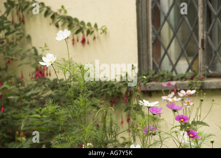 Lhjgvog yrdx ouyg Stockfoto