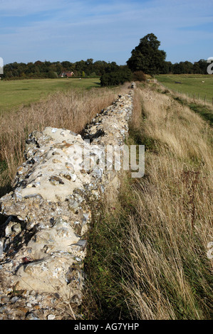 Flint Wand, Teil der Venta Icenorum Roman Stadt außerhalb Norwich, Norfolk, Großbritannien Stockfoto