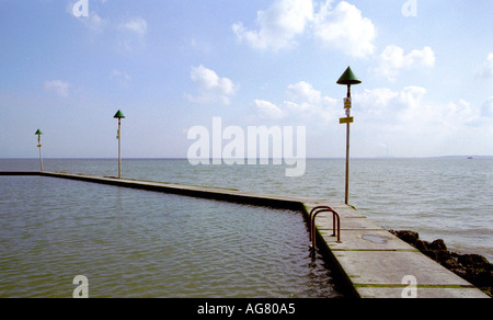 Bad mit Stöcken in der Themse-Mündung in der Nähe von Canvey Island Essex England Stockfoto