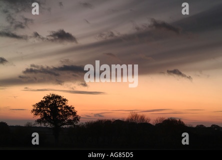 Dramatischer Einbruch der Dämmerung Himmel erfüllten die Bäume und Hecken der ländlichen englischen Landschaft, Oxfordshire, England. Stockfoto