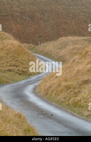 Straße Wicklung ihren Weg durch die Kreide Hügeln von Berkshire Downs, Oxfordshire, England, Vereinigtes Königreich. Stockfoto