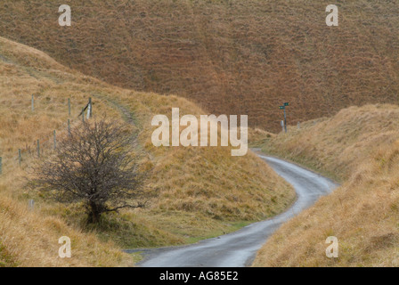 Straße Wicklung ihren Weg durch die Kreide Hügeln von Berkshire Downs, Oxfordshire, England, Vereinigtes Königreich. Stockfoto