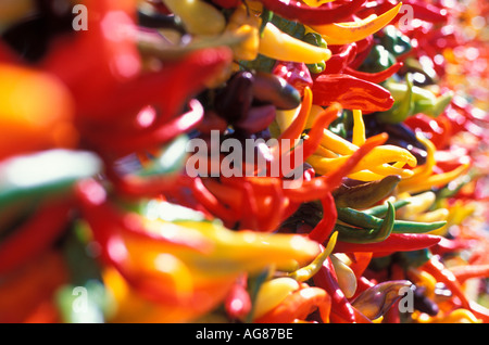 Paprika zum Verkauf an s Pike Place Market in Seattle WA Stockfoto