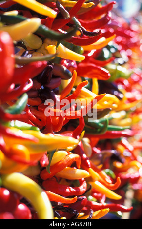 Paprika zum Verkauf an s Pike Place Market in Seattle WA Stockfoto