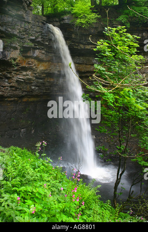 Hardraw Kraft in den Yorkshire Dales ist ein Wasserfall auf dem Hardraw Beck in einer bewaldeten Schlucht etwas außerhalb der Ortschaft Hardraw Stockfoto