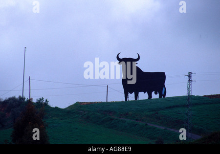Osborne Stier Stockfoto