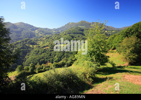 Sierra Las Cruces San Martin de Teverga Asturien Spanien Stockfoto