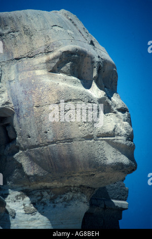 Sphinx Gizeh Ägypten Closeup Portrait Gesicht Kopf Stockfoto