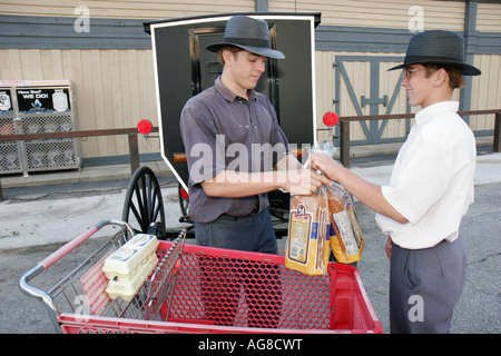 Nappanee Indiana, Amish teen, Teenager, Jugendliche, junge Jungen, männliches Kind Kinder Kind Kinder Jugendliche Jugendliche Jugendliche Jugendliche Brüder, Lebensmittel, Buggy, Buggy, Stockfoto