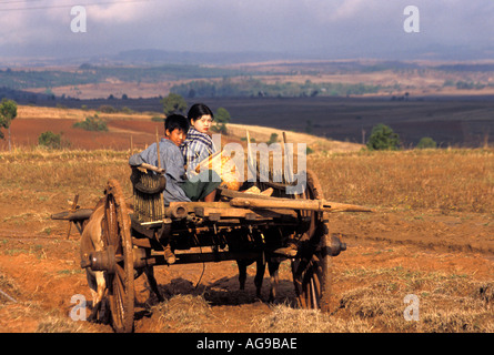 Myanmar-Burma Junglandwirte in Ochsenkarren gezeichnet von 2 Kühen-Shan-Staat Stockfoto