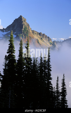 Pinnacle Peak über Bäume Silhouette gegen Nebel Paradies Mount Rainier National Park Cascade Mountains Washington Stockfoto