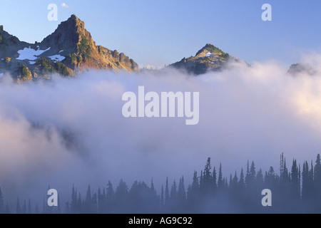 Pinnacle Peak und Plummer über Bäume Silhouette gegen Nebel Paradies Mount Rainier Nationalpark Washington Stockfoto