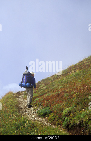 Wanderer auf Ptarmigan Ridge Trail North Cascades Cascade Mountains Washington Stockfoto