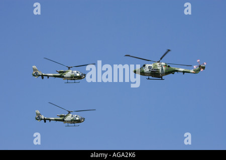 RIAT 2006 Royal International Air Tattoo Stockfoto