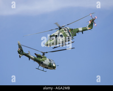 RIAT 2006 Royal International Air Tattoo Stockfoto