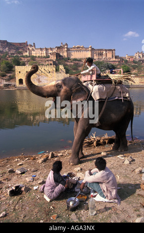 Indien, Rajasthan, Amer, Mann mit Elefanten vor Palast Stockfoto