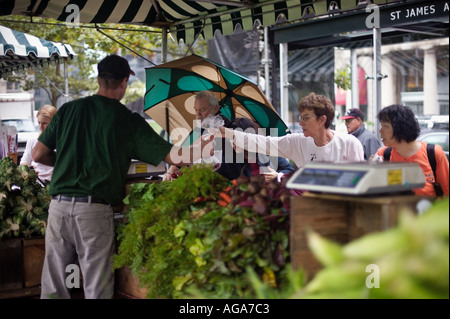 Bauernmarkt am Copley Square am St. James Street Boston MA Stockfoto