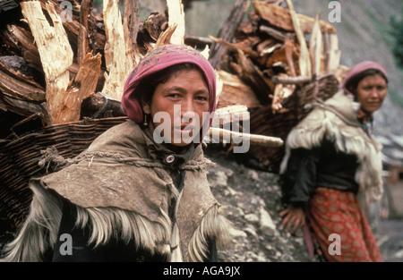 Indien, Kaschmir, Shrinagar, Kashmiri Frauen stehen mit Brennholz Stockfoto