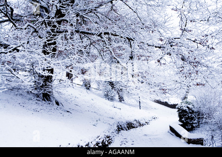 Schnee am Coate Water Country Park Stockfoto