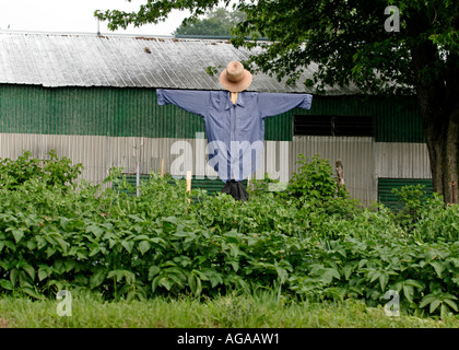 Vogelscheuche auf Uhr in Amish Bereich Stockfoto