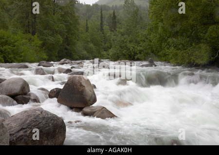 Little Susitna River auf dem Weg zum Hatcher Pass in Alaska Stockfoto