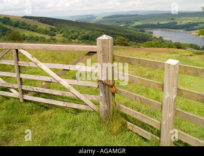 Blick über die Hügel zum Errwood-Stausee im Tal Goyt, Peak District Derbyshire UK