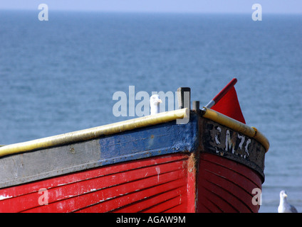 Möwe, die Beobachtung von Fischerboot Stockfoto