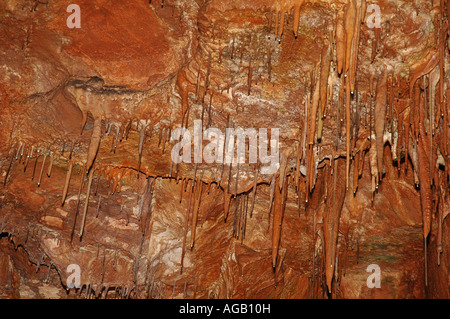 Höhlen-Stalaktiten in Grutas de Mira de Aire Portugal Stockfoto