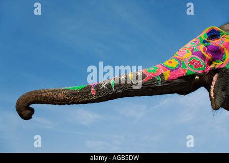 Bemalte Elefantenrüssel Elefanten sind für religiöse und zeremonielle Gelegenheiten dekoriert veröffentlicht Indien-Eigenschaft Stockfoto