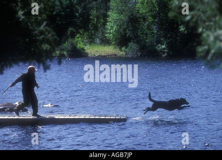 Hund in einen See springen Stockfoto